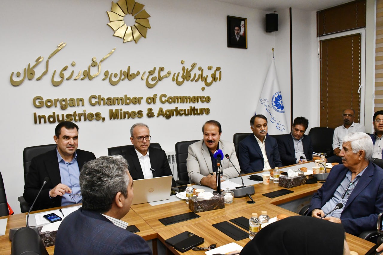 توسعه همکاری‌های بین‌المللی صنعت آب و برق گلستان بررسی شد