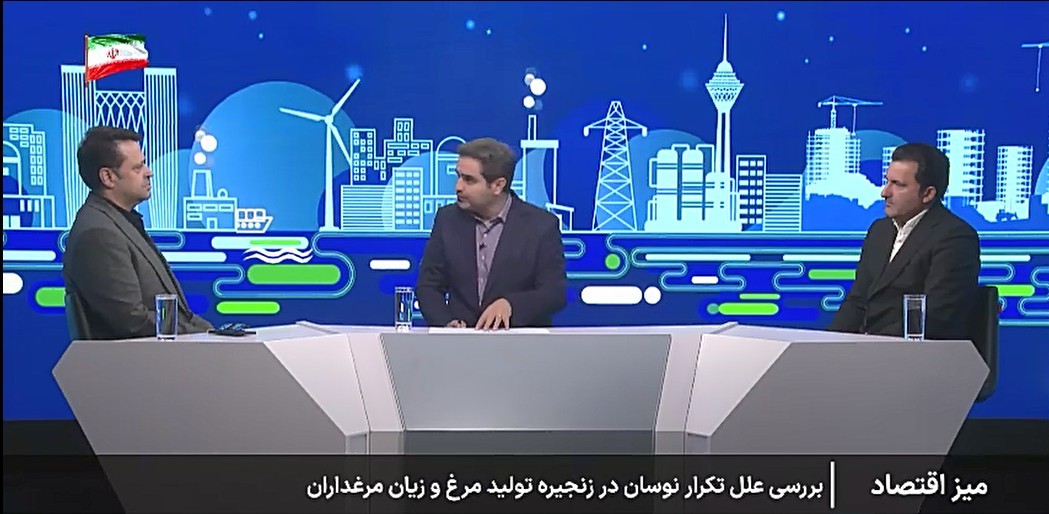 اصلاح سیاست‌های تنظیم بازار، لازمه پایداری تولید در صنعت طیور