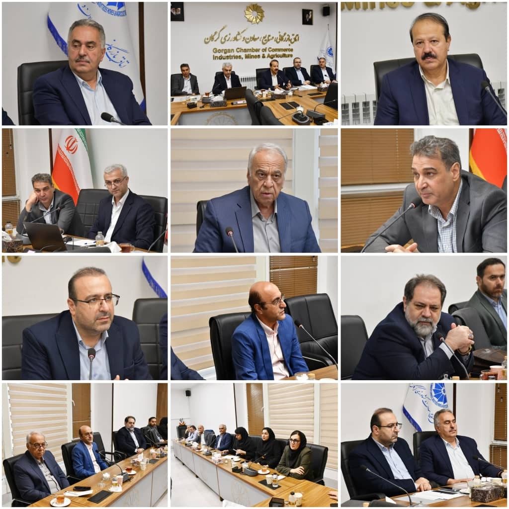 کارگروه تخصصی شورای گفتگوی دولت و بخش خصوصی استان گلستان با موضوع  طرح نشان‌دار کردن مالیاتی و تأمین اعتبار طرح‌های عمرانی مدارس منتخب و برگزیده به‌عنوان طرح‌های ملی