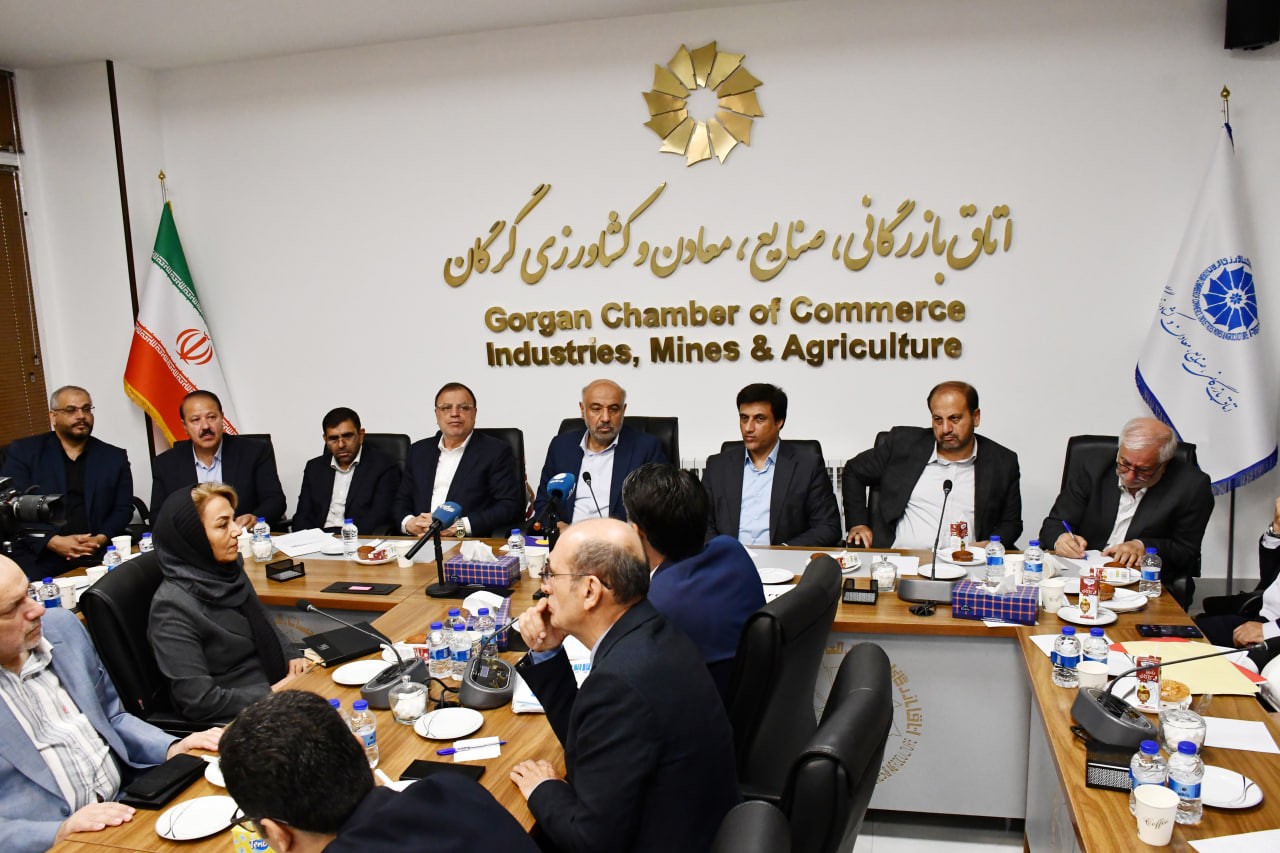 بررسی چالش‌های کسب‌وکار و نقش مهارت‌آموزی در نشست فعالان اقتصادی گلستان با وزیر کار