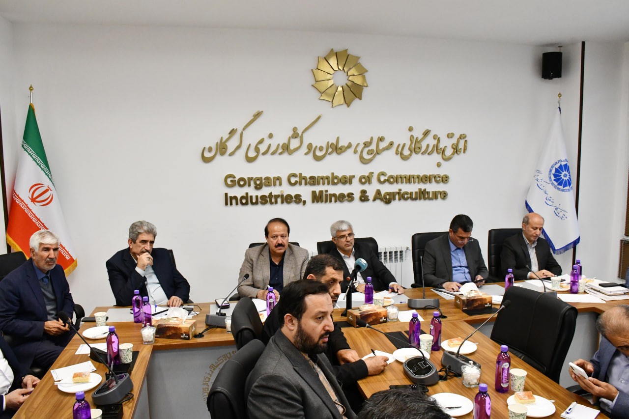 نشست هم‌اندیشی تأمین مواد اولیه پتروشیمی ویژه واحدهای تولیدی استان گلستان